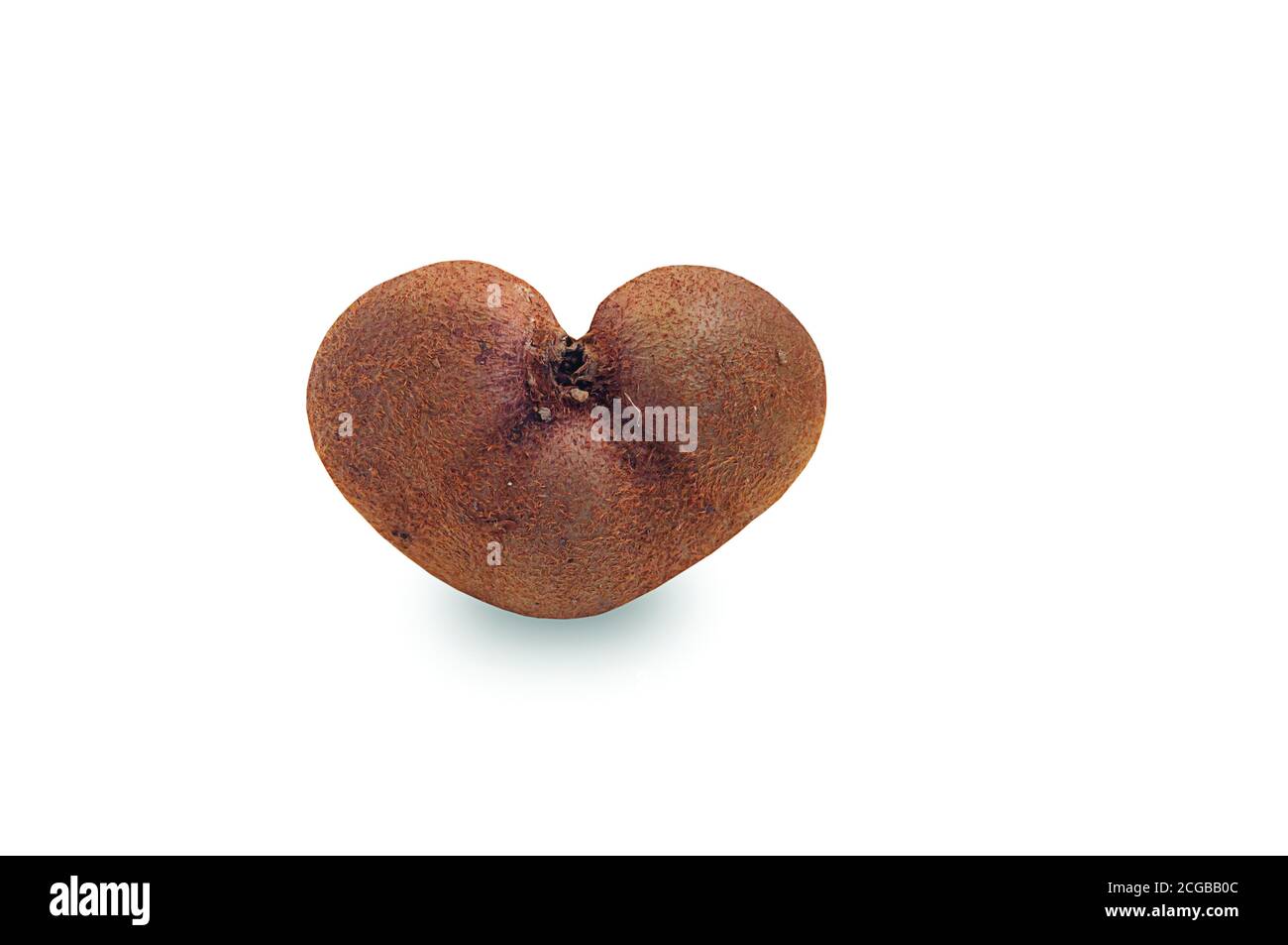 Herzförmige Kiwi-Frucht auf weißem Hintergrund Stockfoto