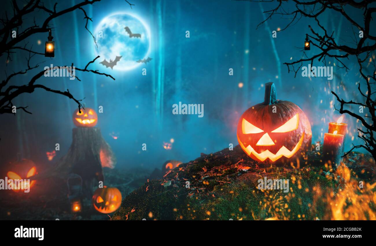 Gruselige halloween Kürbisse im dunklen Wald. Grusel halloween Hintergrund mit freiem Platz für Text. Stockfoto