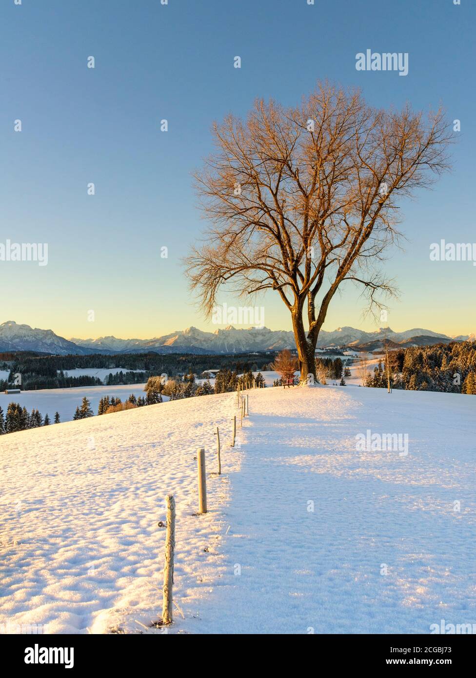 Frühmorgendliche Landschaft zu Beginn der Winterzeit im östlichen Allgäu bei Lechbruck Stockfoto