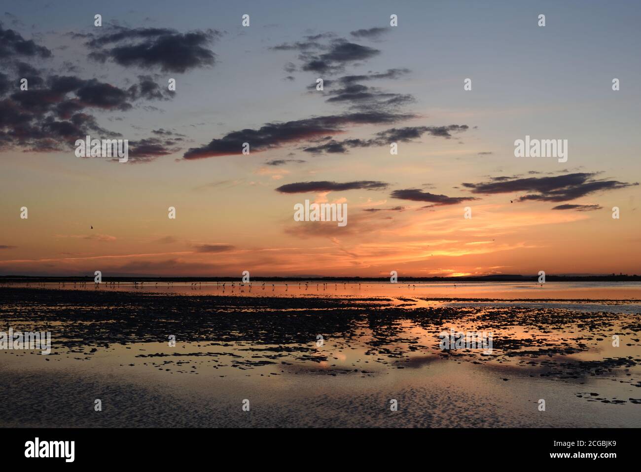 Sonnenuntergang oder Abenddämmerung über dem Etang de la Dame See oder der Camargue Landschaft im Camargue Regional Park, Feuchtgebiete oder Naturschutzgebiet Provence Frankreich Stockfoto