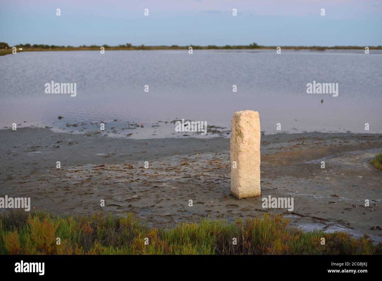 Stehender Stein am Wasser des Etang de la Dame Lake Camargue Regional Park oder Naturschutzgebiet Provence Frankreich Stockfoto