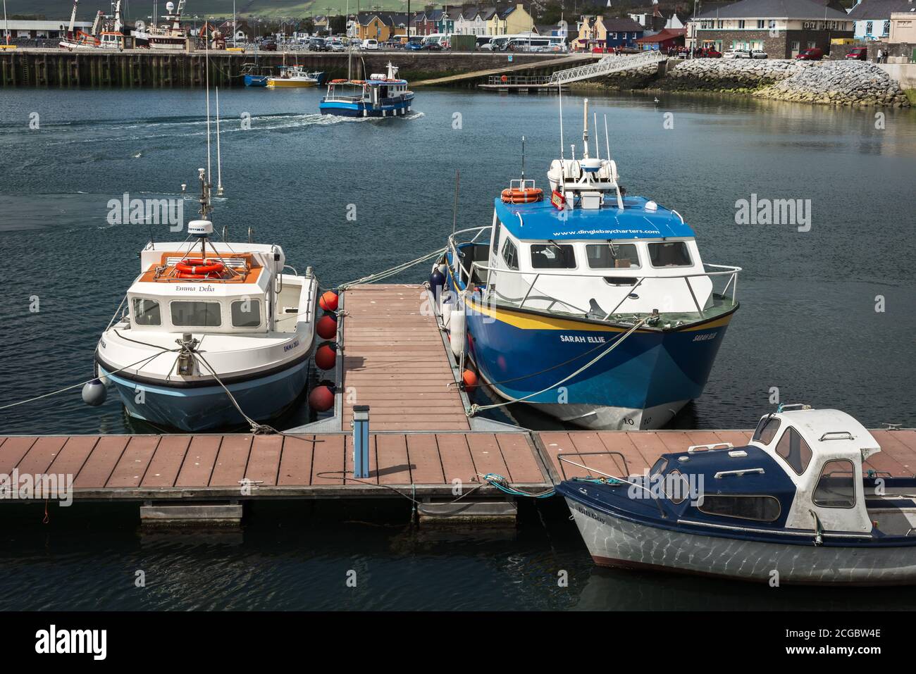 Motorboote Yachten liegen im Hafen und Hafen von Dingle in Dingle, County Kerry, Irland Stockfoto
