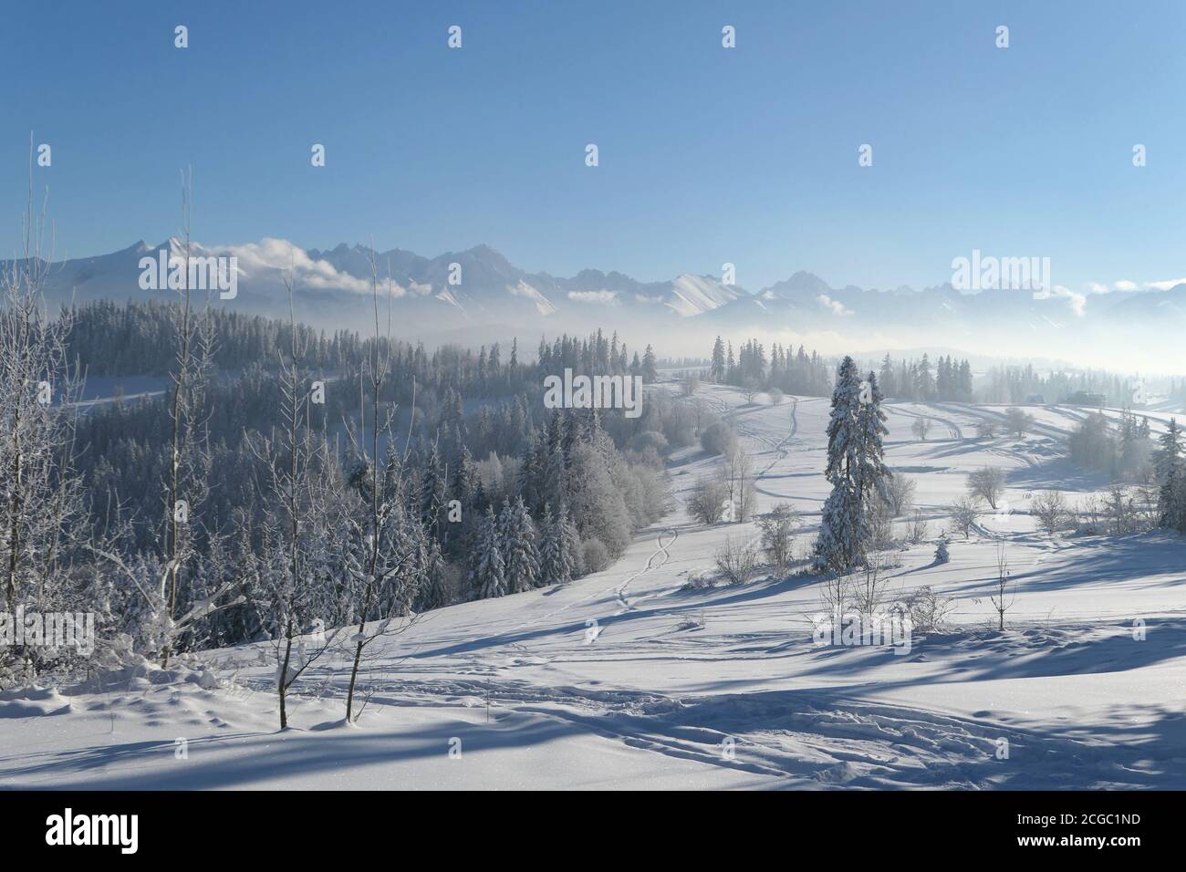 Winter Wunderland Tatra Berge Landschaft in Bialka Tatrzanska, Polen. Stockfoto