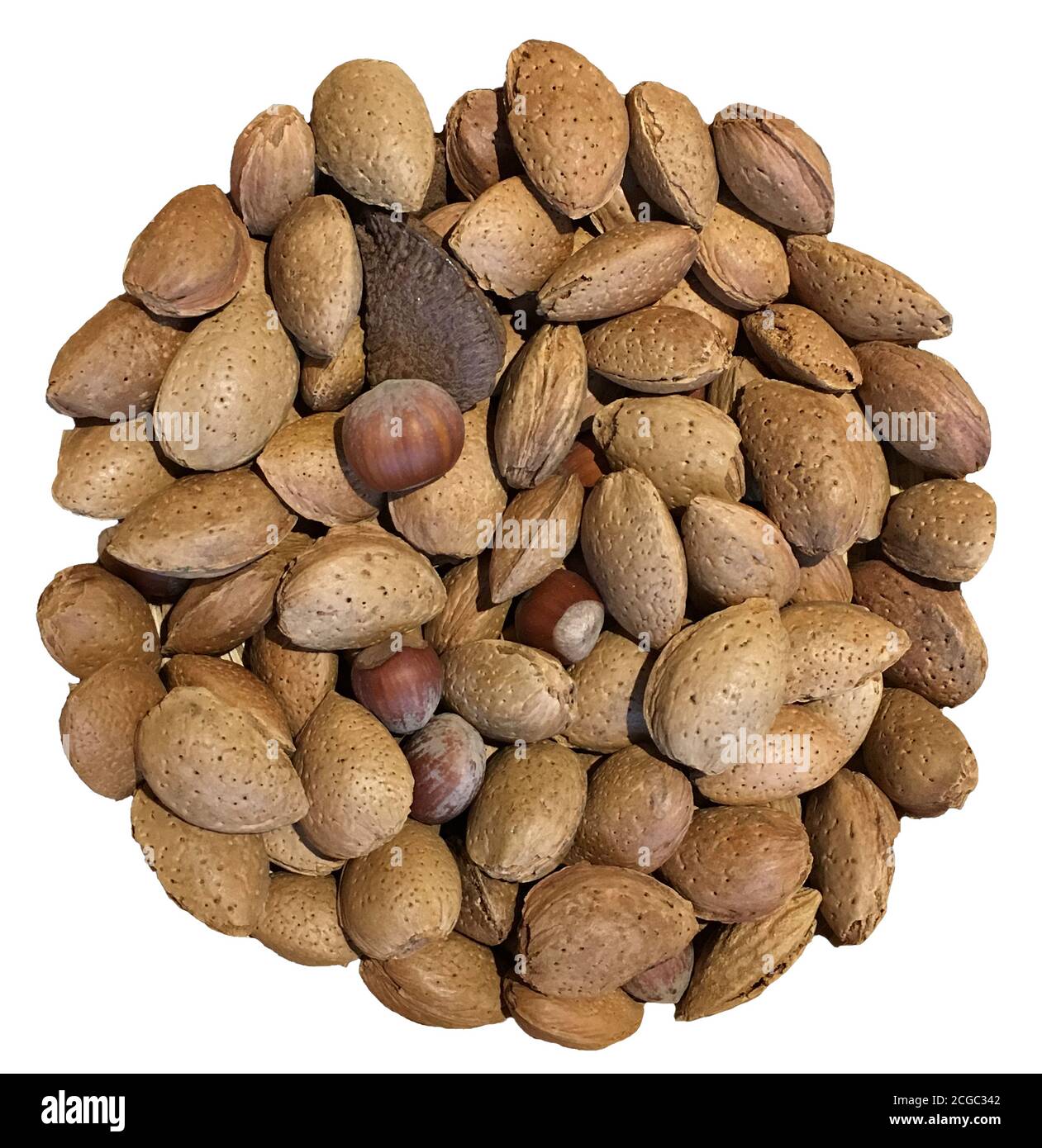 Ein Kreis von gemischten Nüssen einschließlich Mandeln, Haselnüsse, Brasilnüsse, Walnüsse. Nüsse sind eine gute Quelle von Protein. Stockfoto