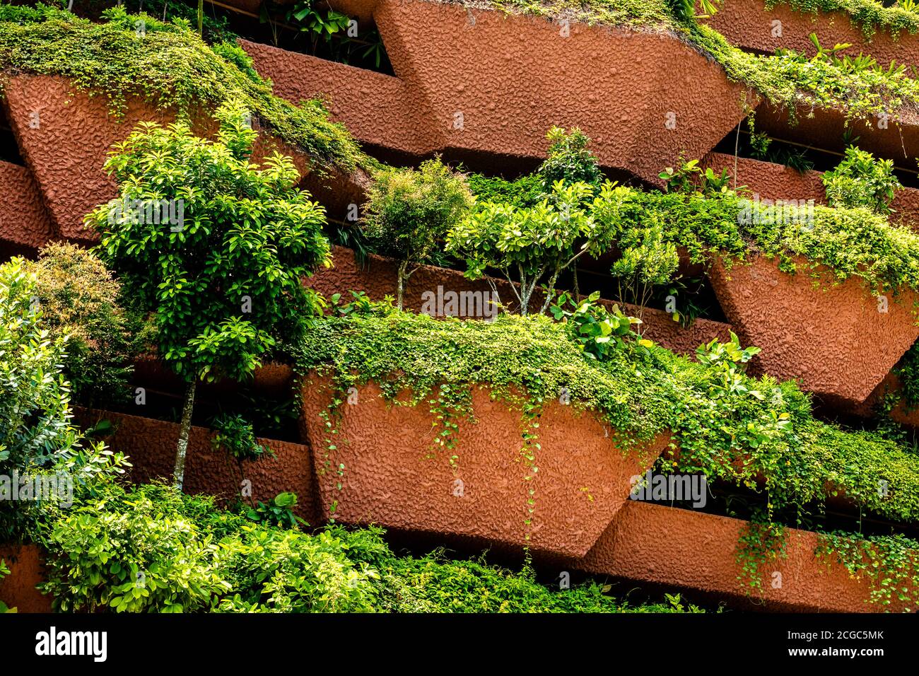 Äußere Detail des Lee Kong Chian Natural History Museum, Fakultät für Wissenschaft, National University of Singapore. Stockfoto