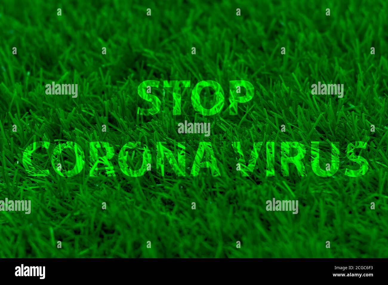 Stoppen Sie Corona Virus vor dem Hintergrund von grünem Gras. Wörter. Stockfoto