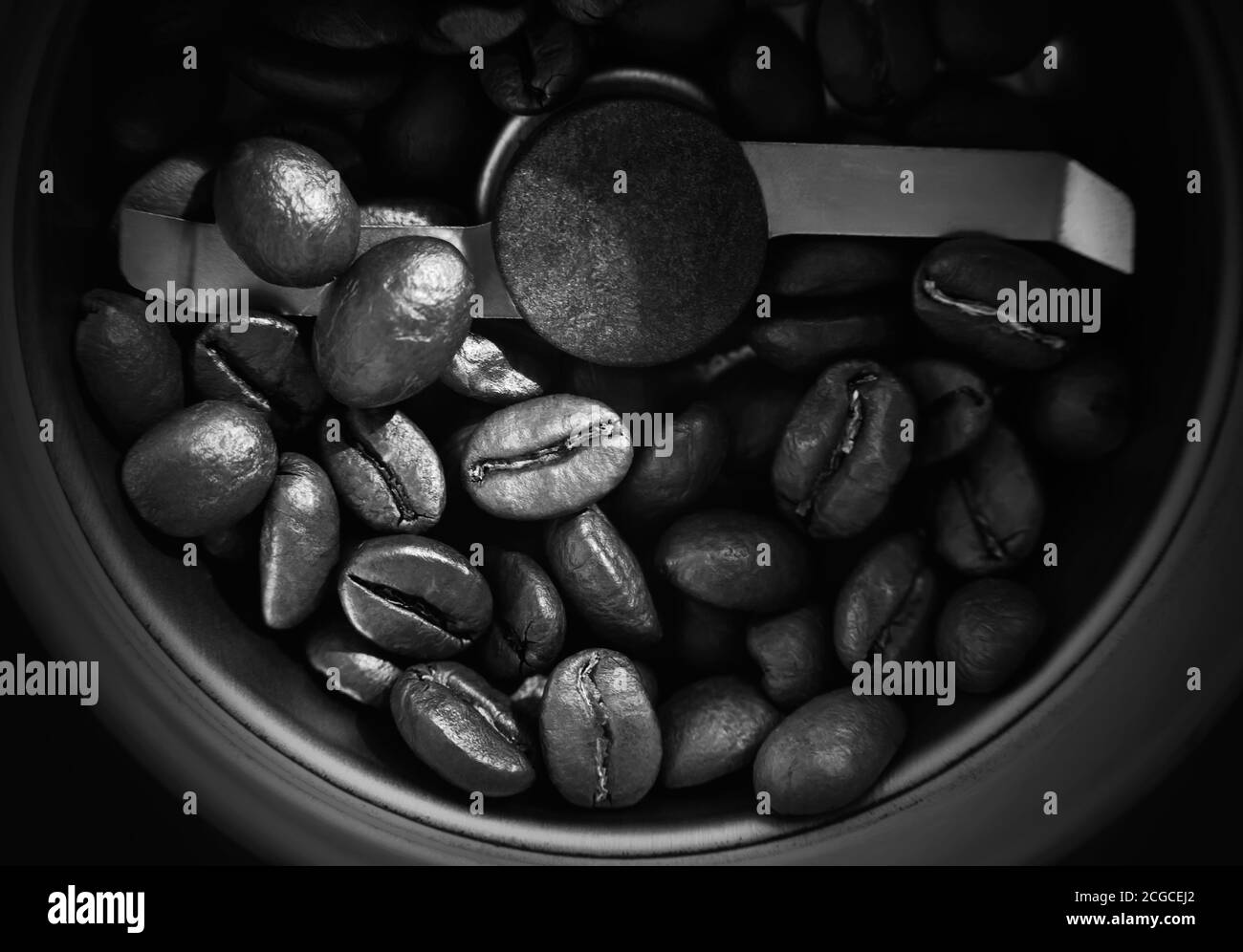 Schwarz-Weiß-Bild von gerösteten Kaffeebohnen, die in der Kaffeemühle sind, und bald werden sie gemahlener Kaffee. Der Blick von oben. Stockfoto