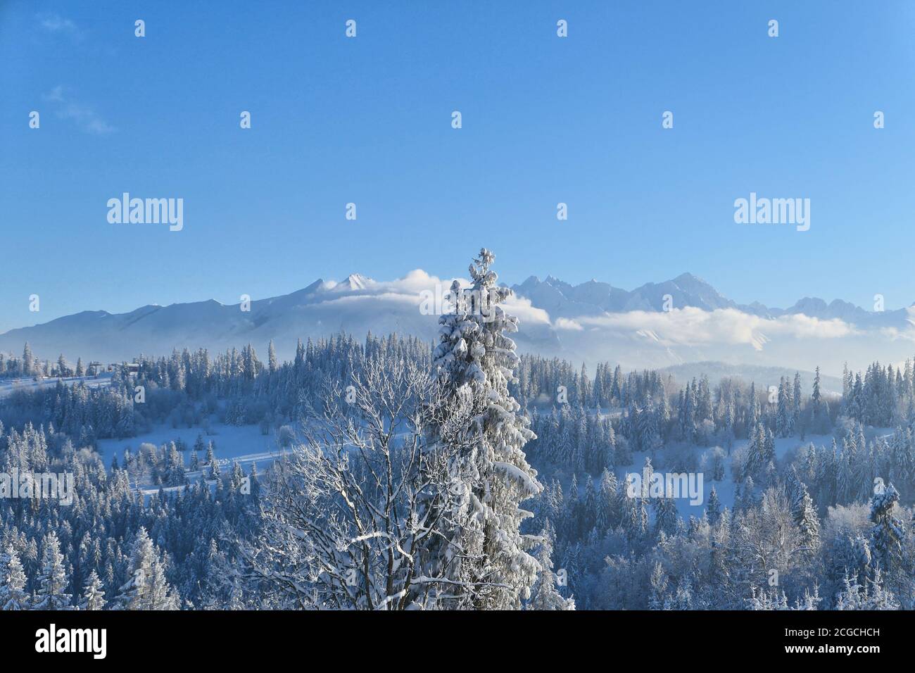 Tatra Berge und Wald in Schnee Winterlandschaft. Stockfoto