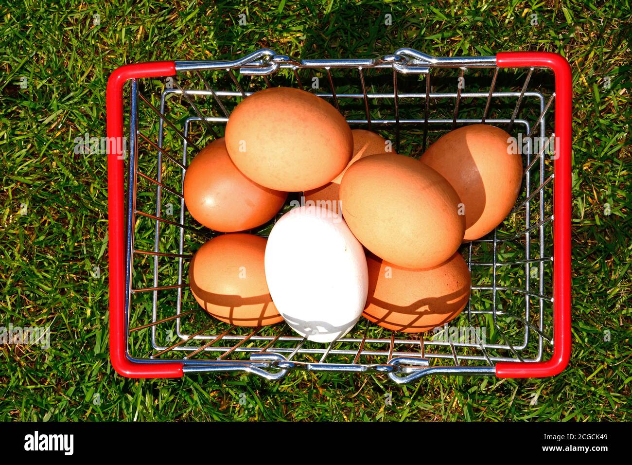 Braune und weiße huhn eier in einem Warenkorb auf dem Gras, Großbritannien. Stockfoto