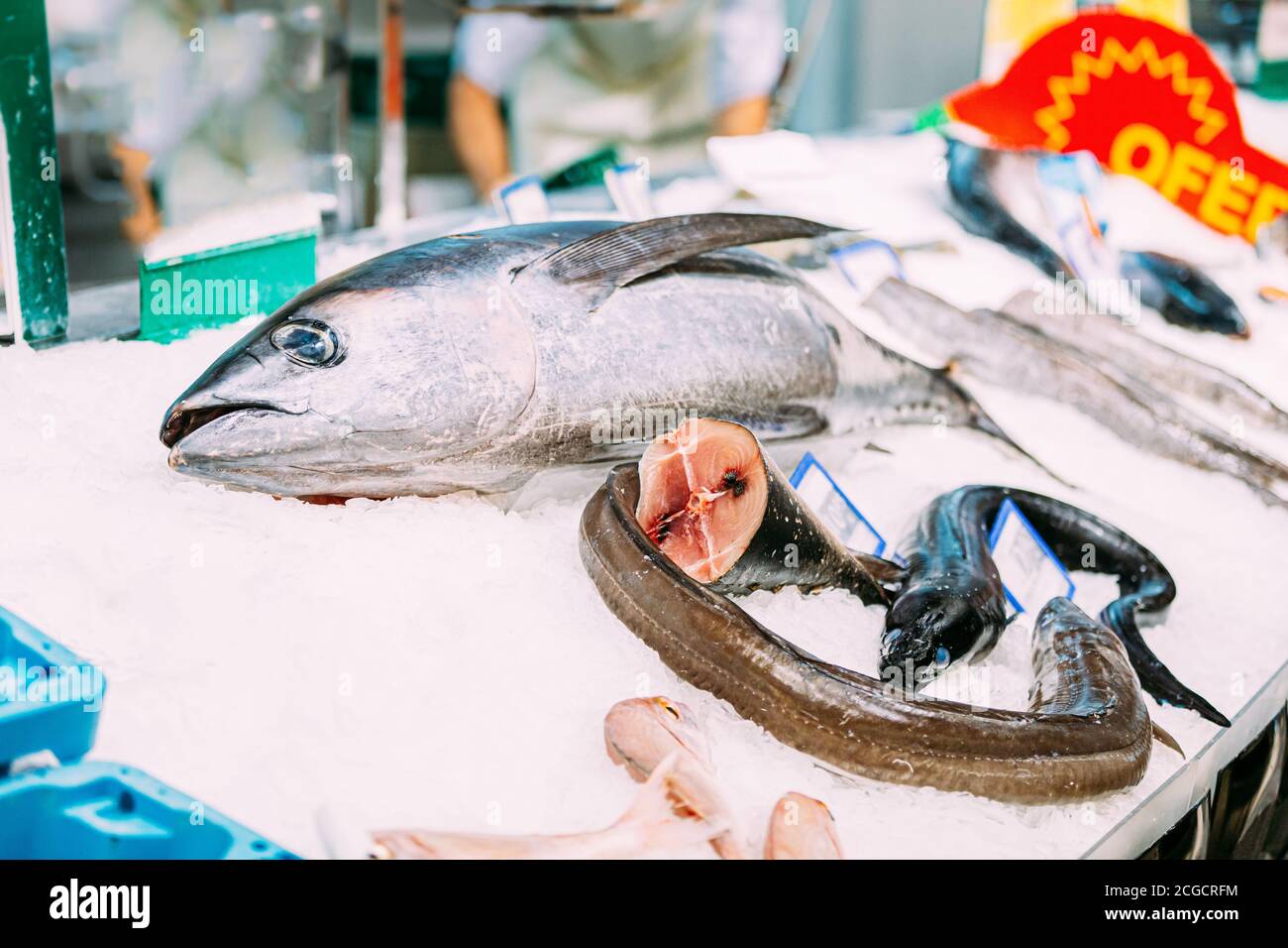 Roh Leckere Thunfisch Und Meerkonger Fische Auf Eis Market Store Shop Stockfoto