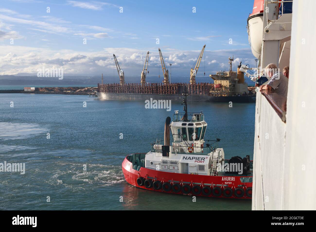 Ein Schlepper schiebt gegen die Seite eines Kreuzfahrtschiffes im Hafen von Napier, Neuseeland. Im Hintergrund lädt ein Frachtschiff mit Baumstämmen auf. 23/2018 Stockfoto