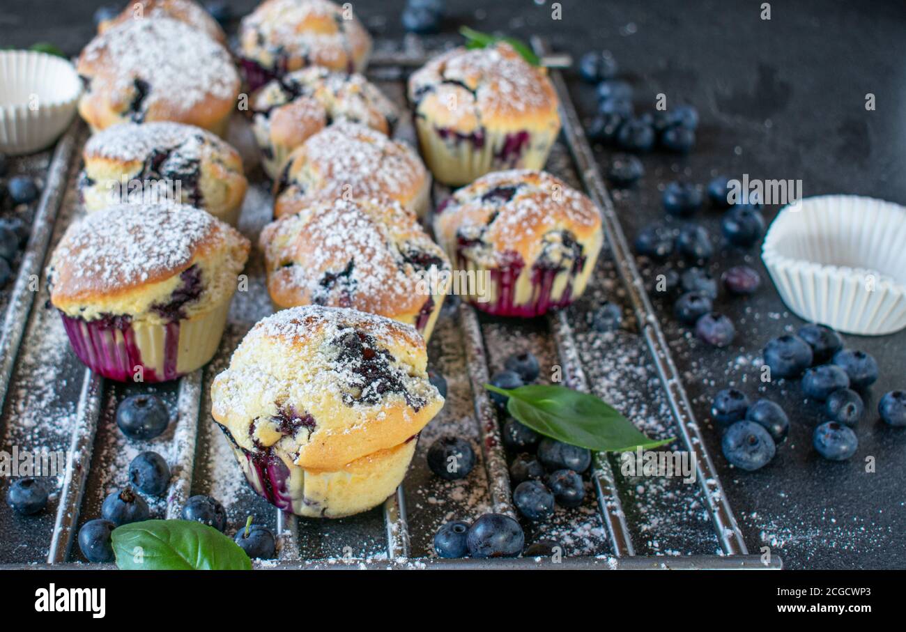 Frisch gebackene Blaubeer-Muffins auf einem Kühlgitter Stockfoto