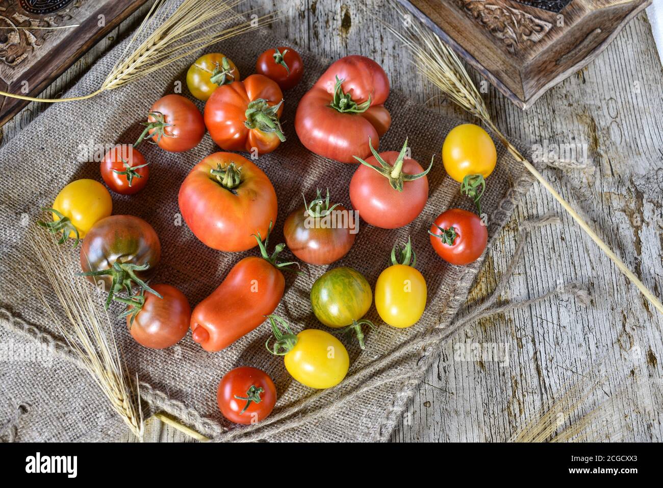 Verschiedene Arten von Tomaten auf einem rustikalen Jute Hintergrund platziert Stockfoto
