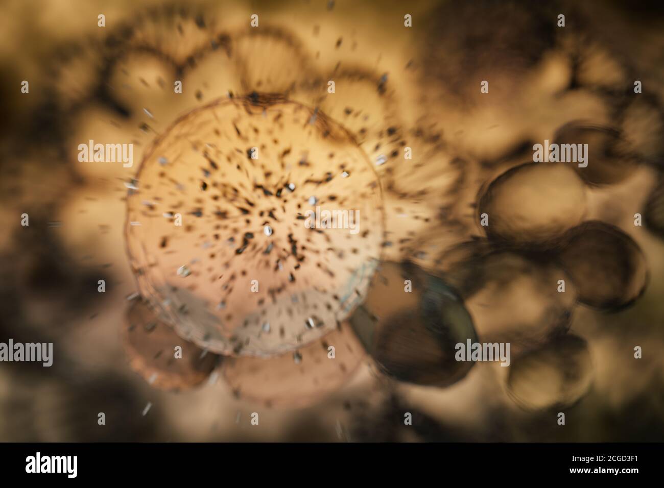 3D-Rendering von verschwommener Wasserkugel, DNA-Helix im gelben verschwommenen Hintergrund Stockfoto