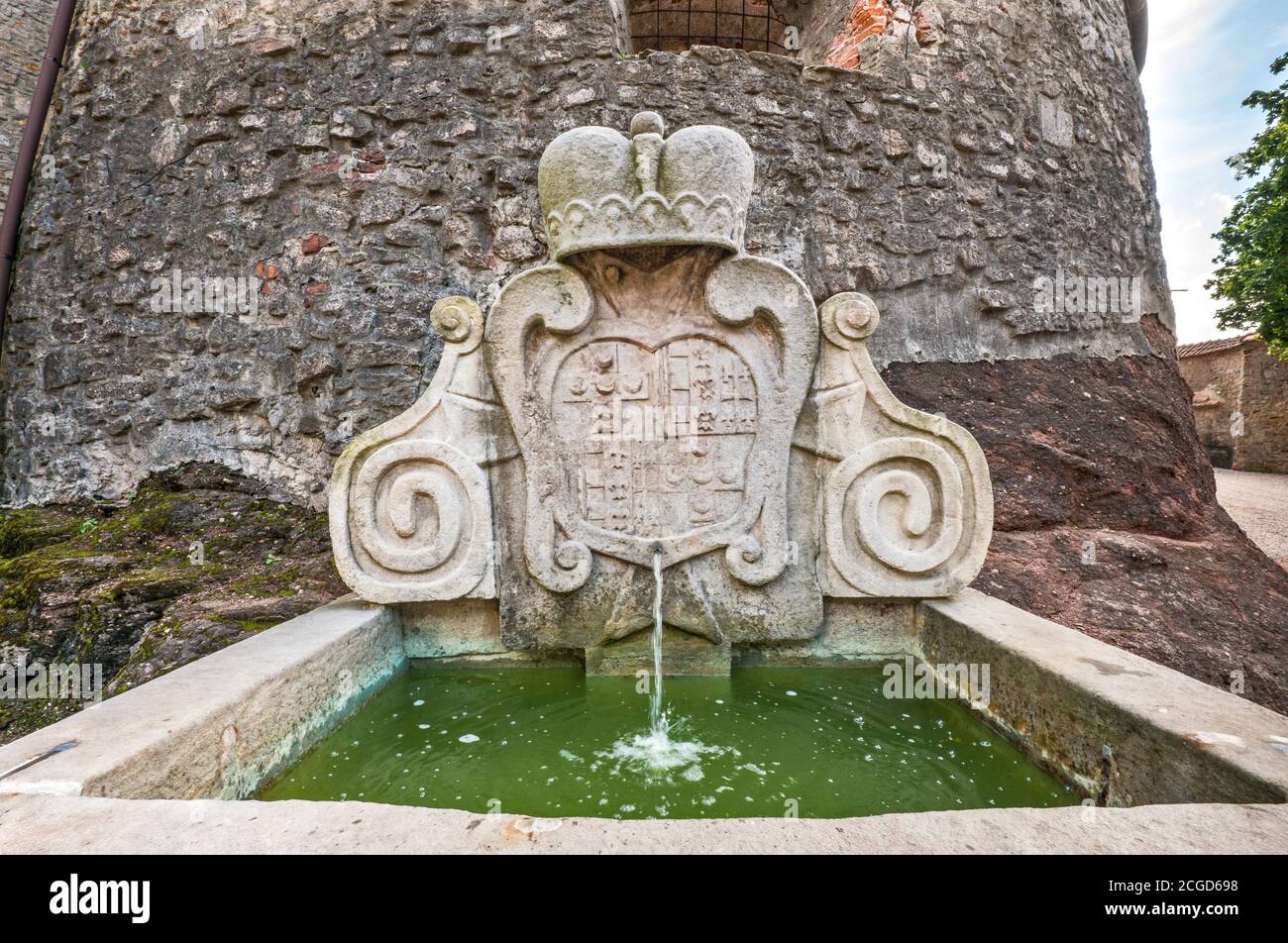 Wappen auf der Kartusche über dem Wasserauslauf, auf Schloss Nachod, Region Hradec Králové, Böhmen, Tschechische Republik Stockfoto