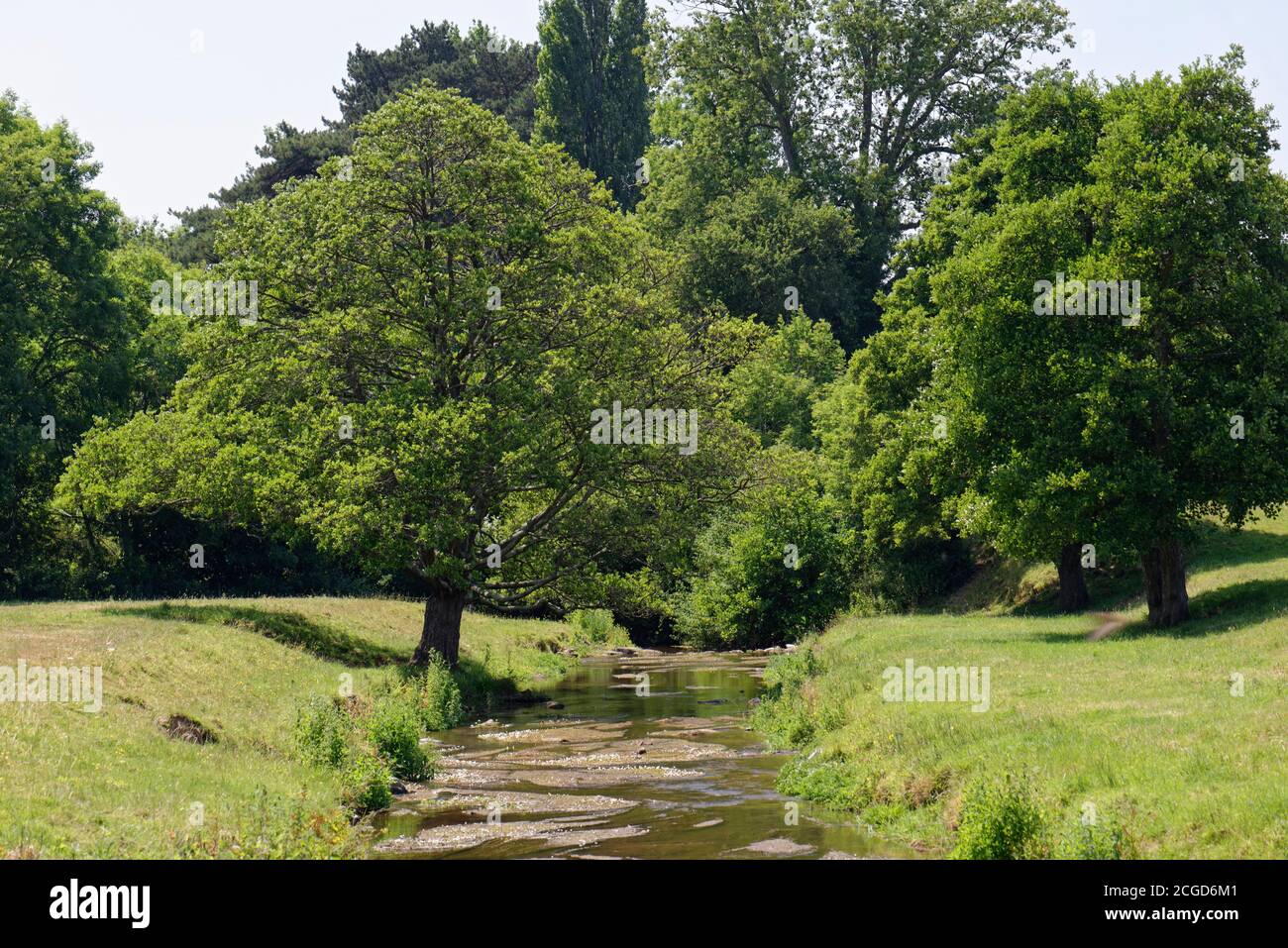 River Sid at the Bees, Sidmouth, Devon, England, Großbritannien Stockfoto