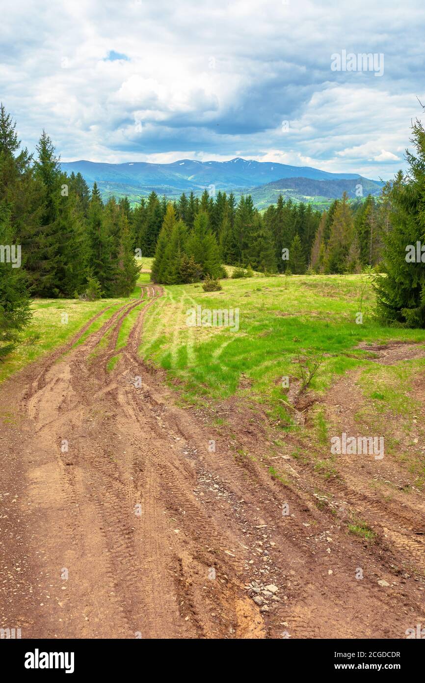 Schöne Natur Bergkulisse. Weg durch den Wald auf grasbewachsenen Hügeln im Frühjahr. Konzept der Outdoor-Abenteuer an einem sonnigen Tag mit Wolken auf dem b Stockfoto