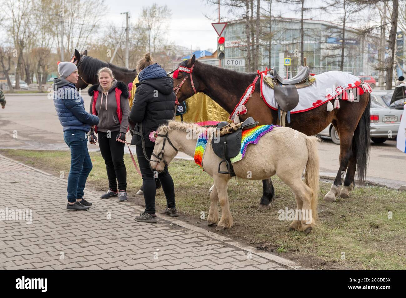 Junge Leute stehen mit Pferden und Ponys, die sie kümmern, im Park während der Feier des Siegestages des Zweiten Weltkriegs. Krasnojarsk. Stockfoto