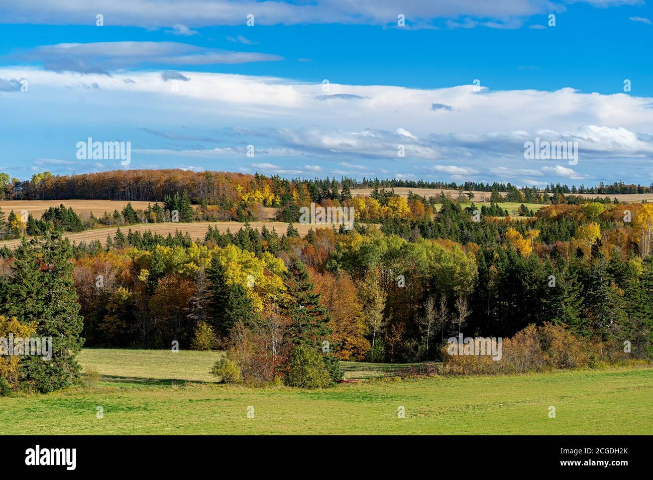 Herbstlaub entlang der Felder der Farm in der Landschaft des ländlichen Prince Edward Island, Kanada. Stockfoto