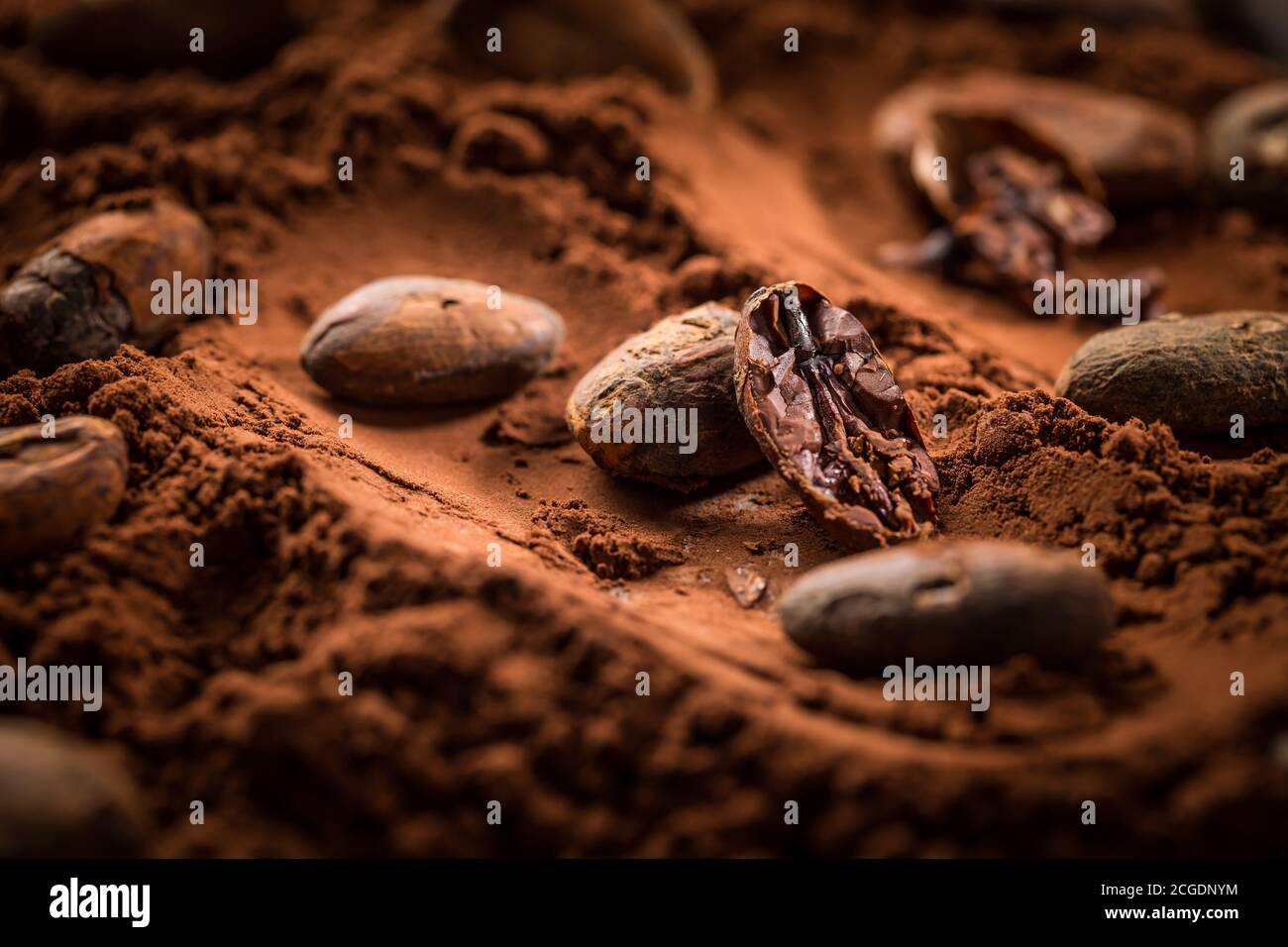 Bio Kakaopulver mit Kakaobohnen zum Backen. Backen und Kochen von Zutaten. Stockfoto