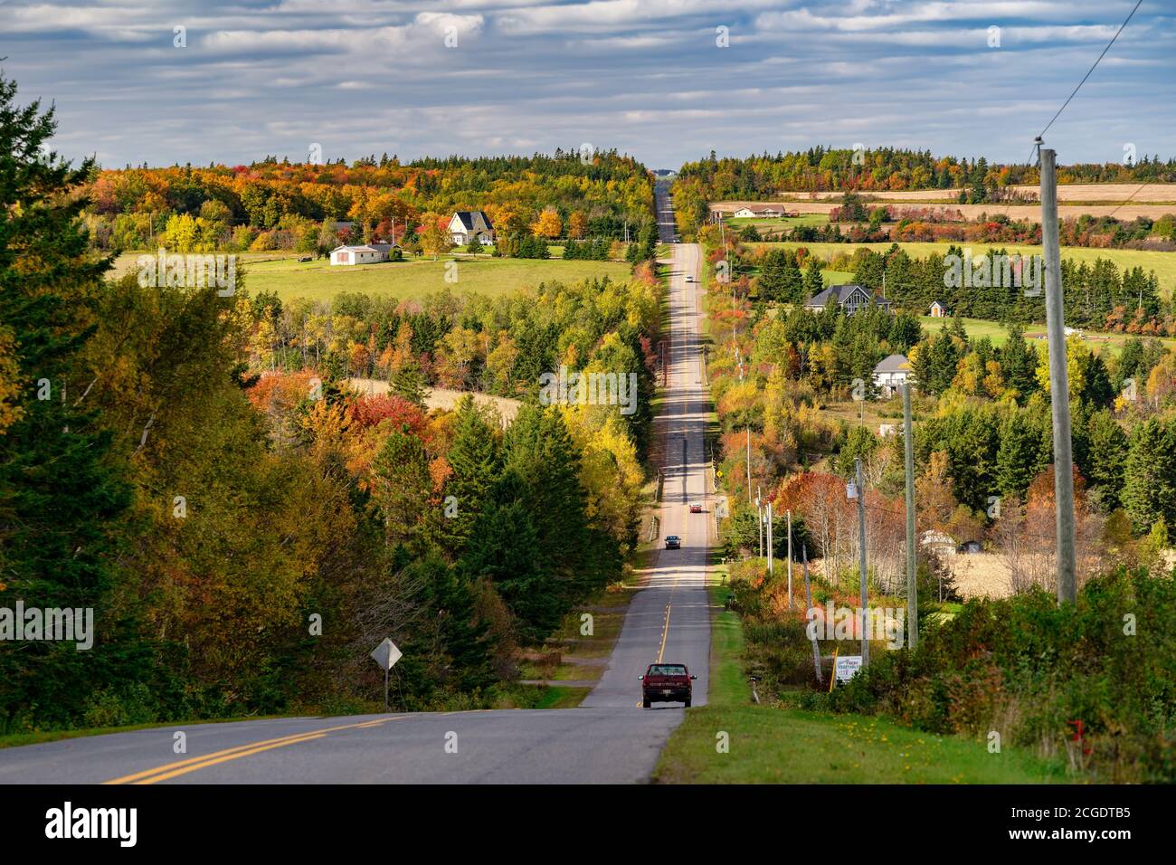 Herbstlaub entlang der ländlichen Straßen in der Landschaft des ländlichen Prince Edward Island, Kanada. Stockfoto