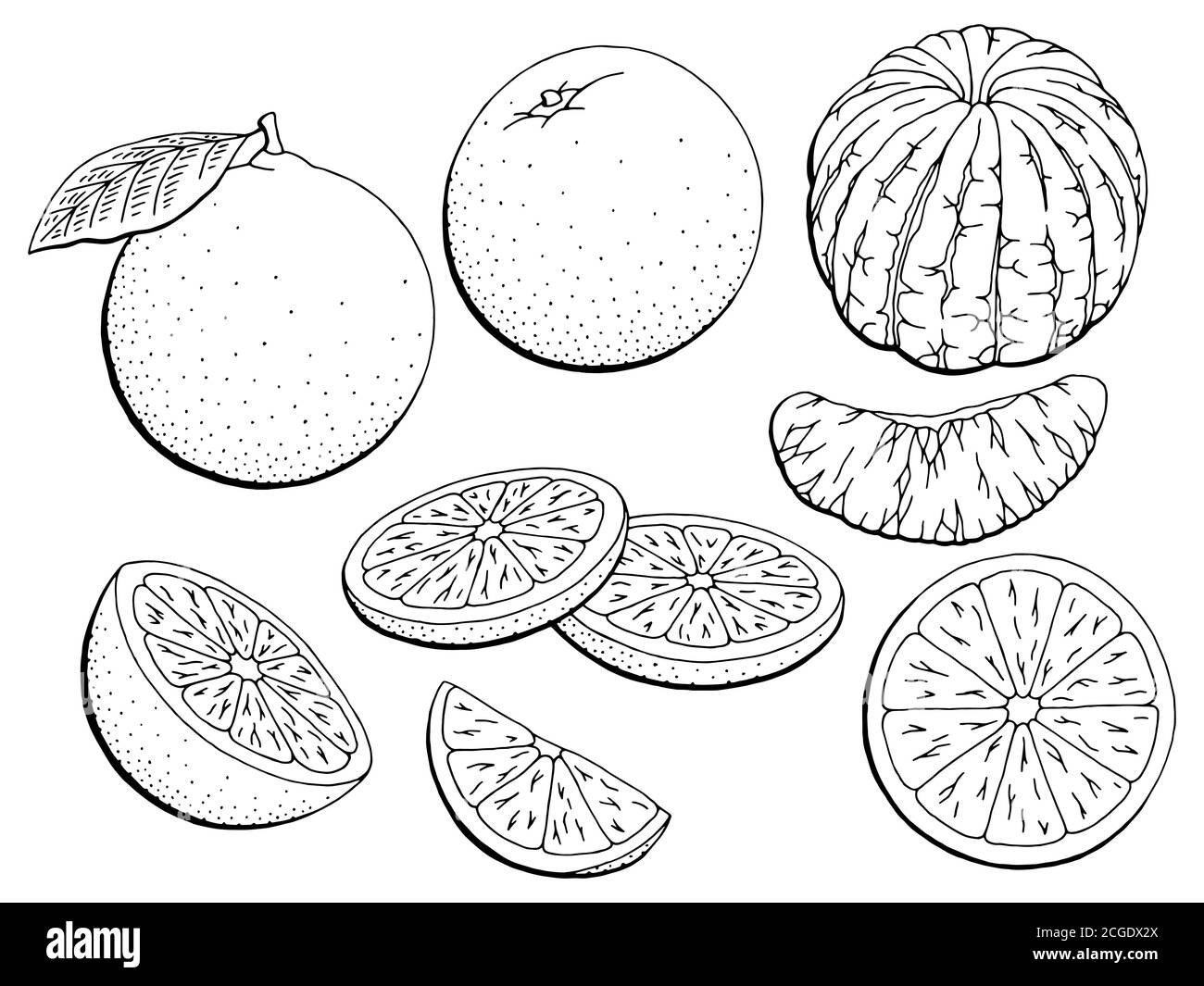 Orange Obst Grafik schwarz weiß isoliert Skizze Illustration Vektor  Stock-Vektorgrafik - Alamy