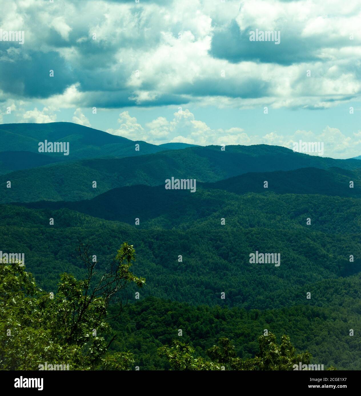 Geschwollene Wolken Rollen über dem üppigen grünen Wald, der den Foothills Parkway vor den Toren von Townsend, TN, bedeckt Stockfoto