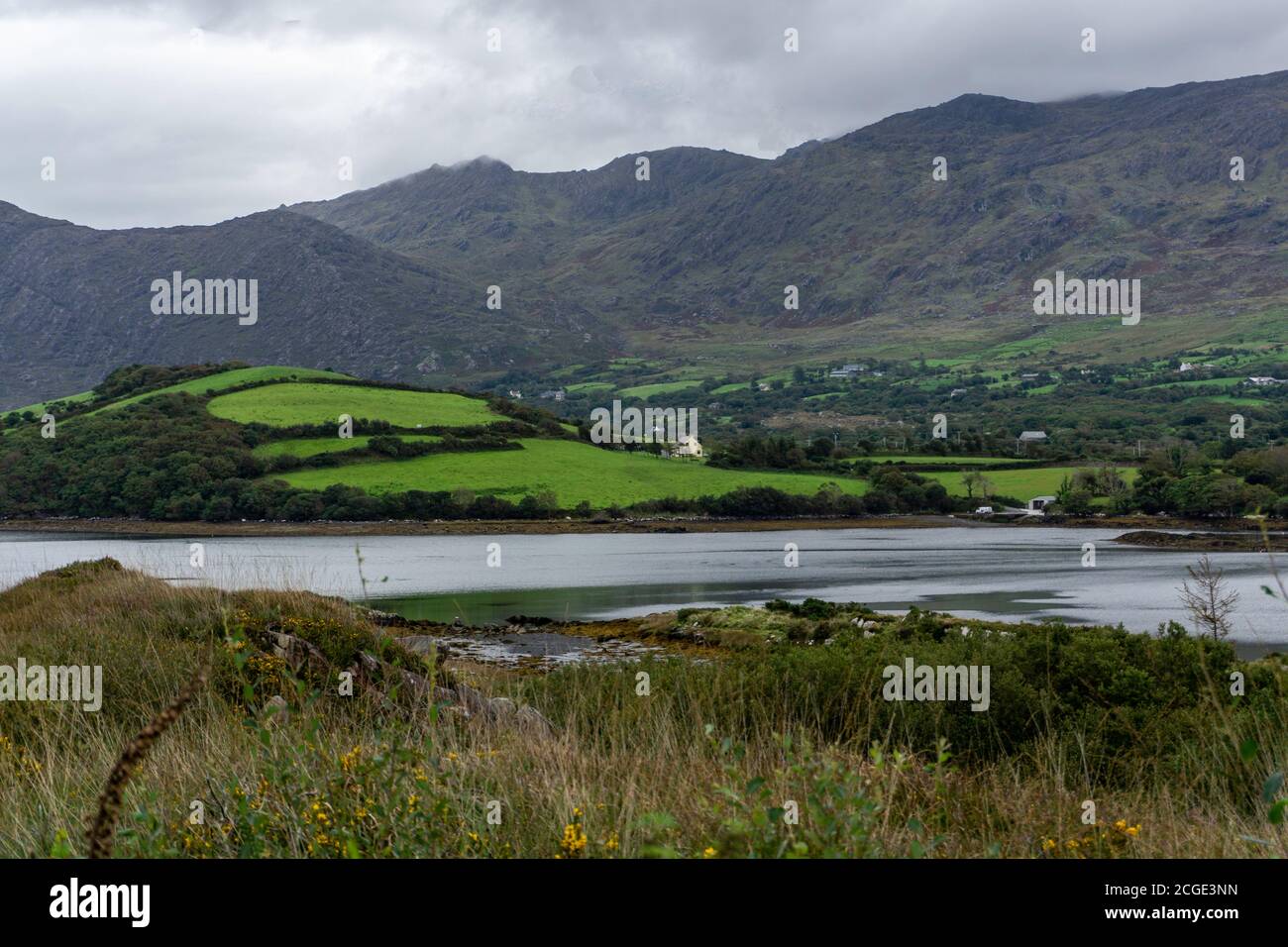 Die kontrastierenden Farben der Landschaft der Beara-Halbinsel bei Derryvegal, County Cork, Irland. Stockfoto