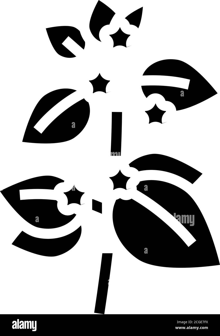 melissa Kräuter Aromatherapie Glyphe Symbol Vektor isoliert Illustration Stock Vektor