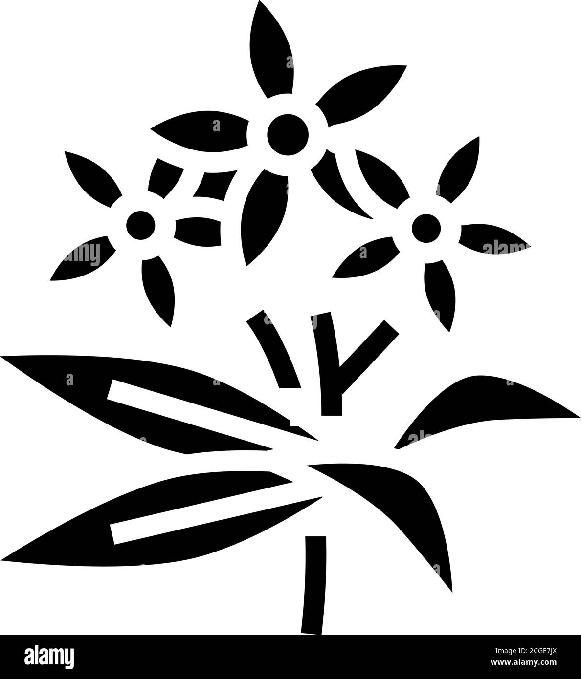 Neroli Blumen Aromatherapie Glyphe Symbol Vektor isoliert Illustration Stock Vektor