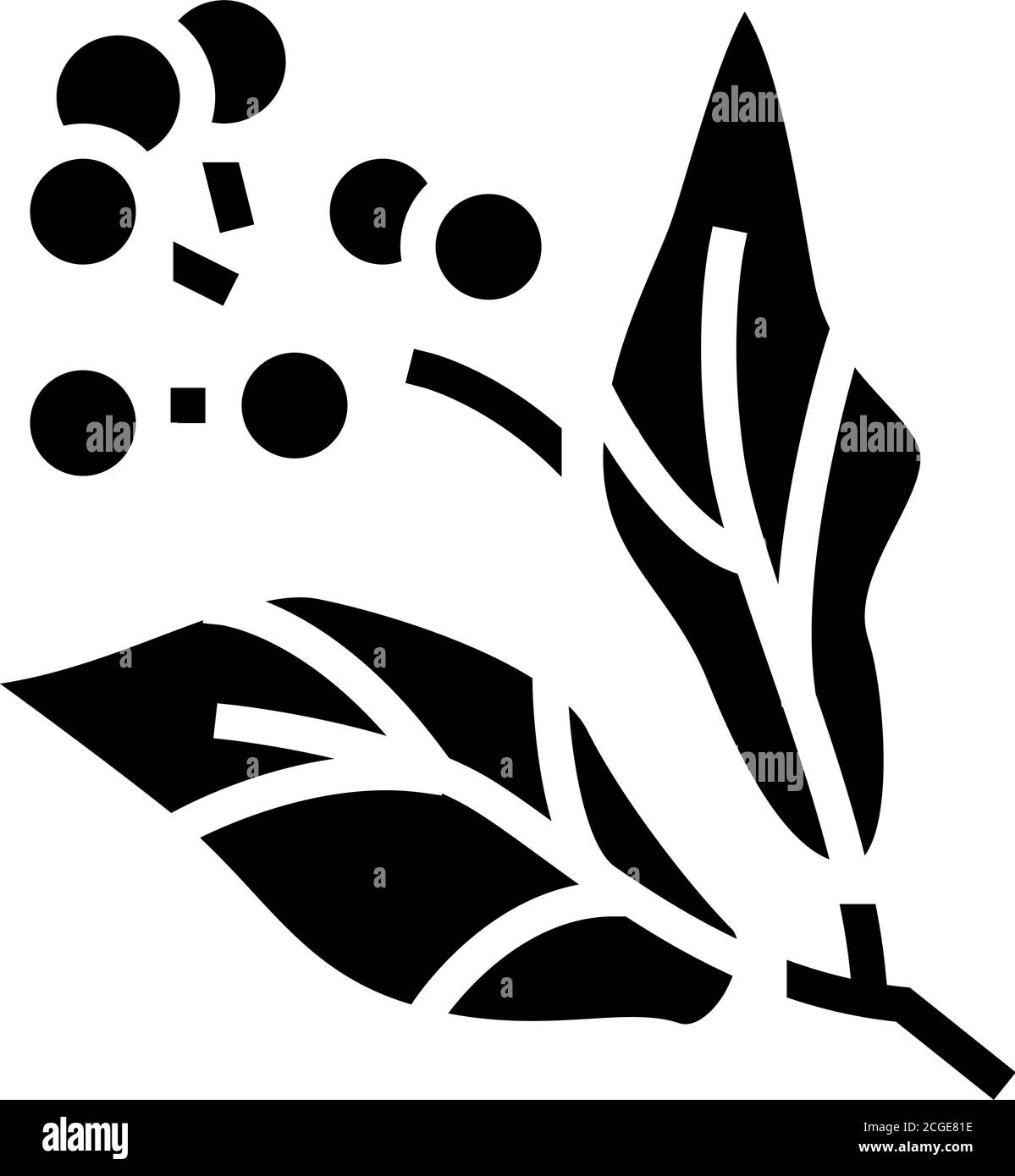 Kampfer Aromatherapie Glyphe Symbol Vektor isolierte Illustration Stock Vektor