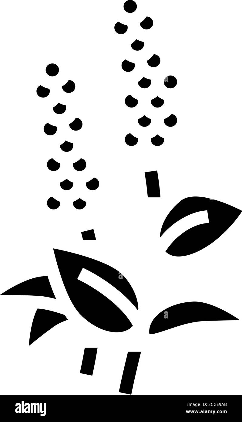 Patchouli Blumen Aromatherapie Glyphe Symbol Vektor isoliert Illustration Stock Vektor