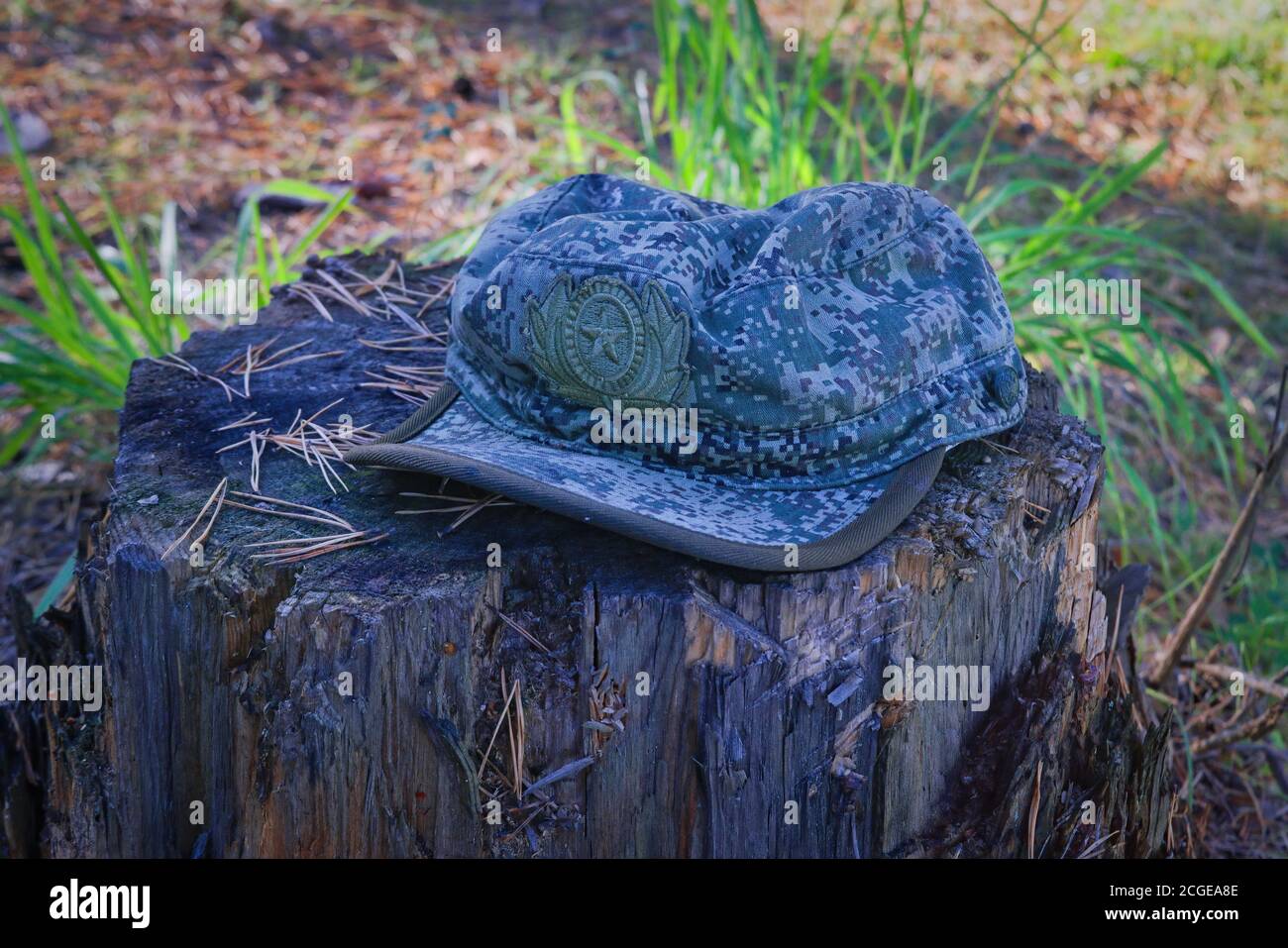 Russische Tarnung militärische Mütze auf einem alten Baumstumpf im Wald. Stockfoto
