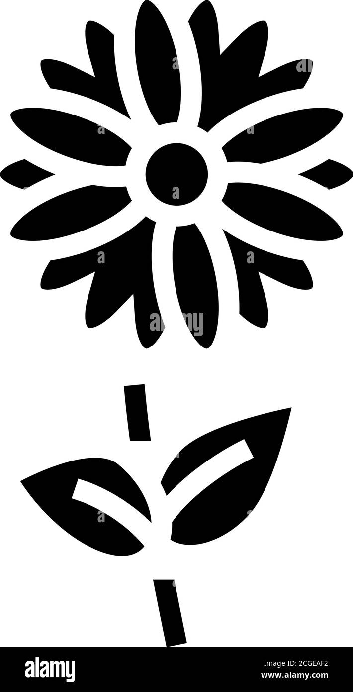 Kamille Blume Aromatherapie Glyphe Symbol Vektor isolierte Illustration Stock Vektor