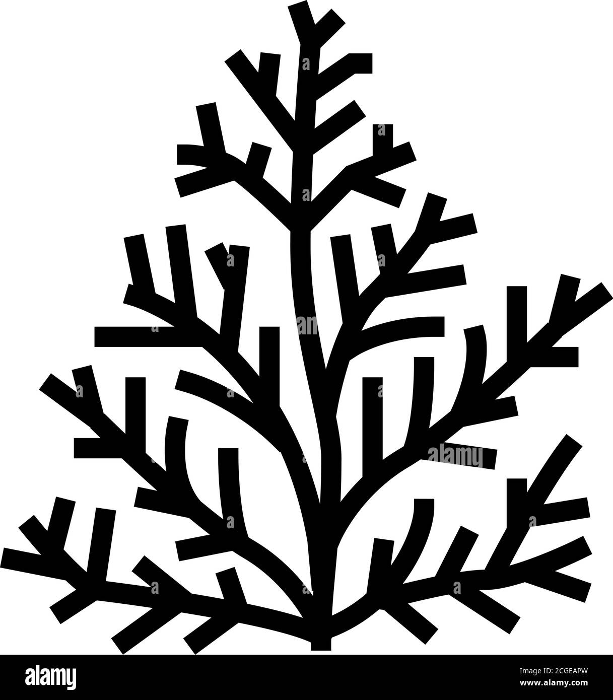 Zedernpflanze Aromatherapie Glyphe Symbol Vektor isoliert Illustration Stock Vektor