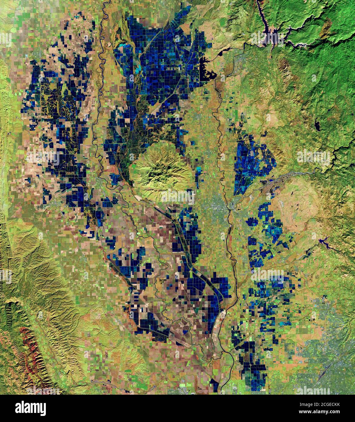 Reisfelder in sumpfigen Feuchtgebieten des Sacramento Flusses, Kalifornien, USA Stockfoto