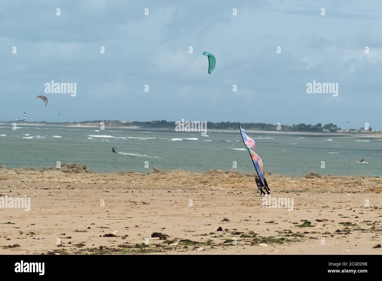 Hund mit Spaß, laufen und springen nach einem Drachen am Strand. Stockfoto