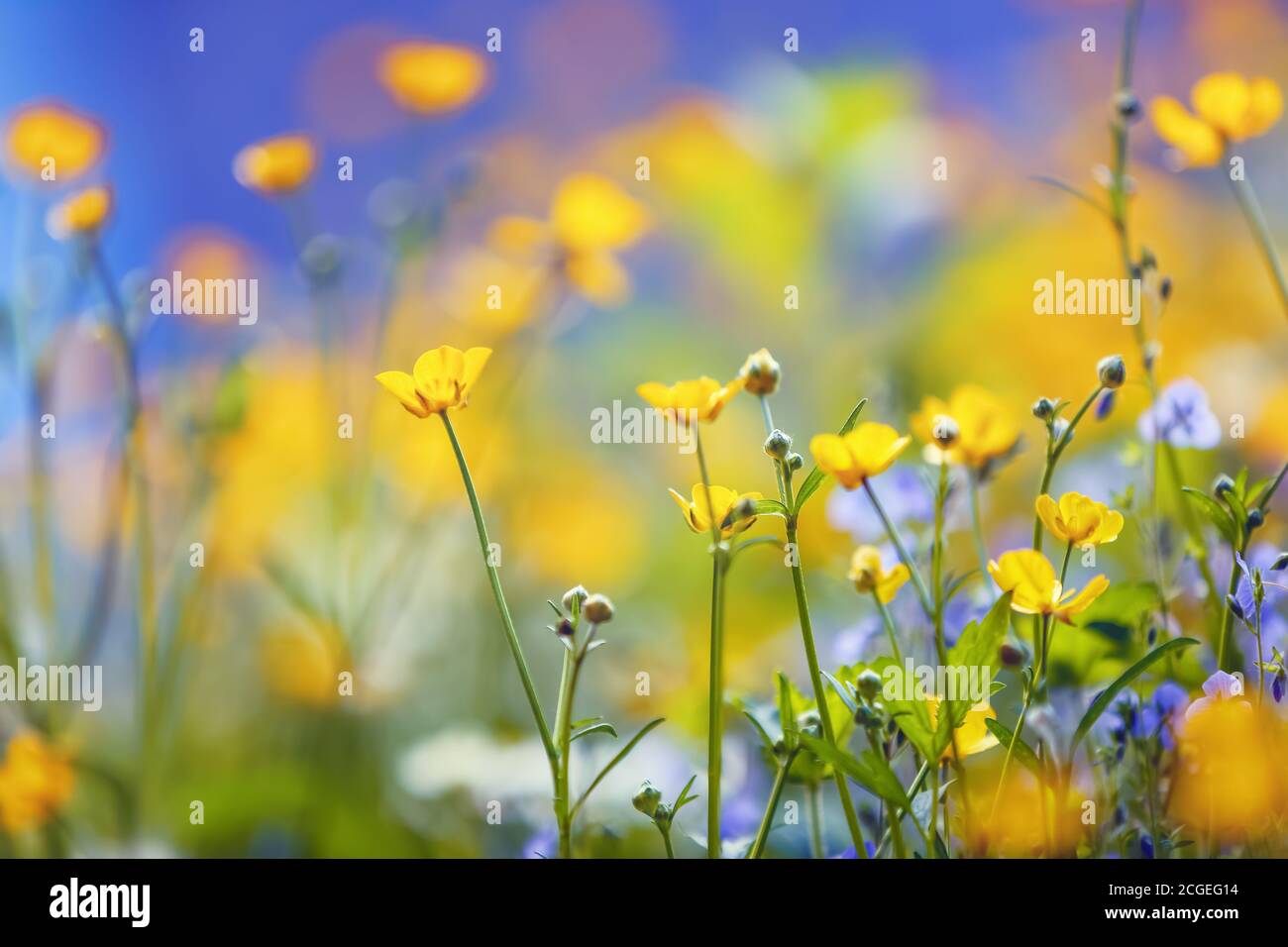 Free Desktop Wallpaper Stockfotos Und Bilder Kaufen Alamy