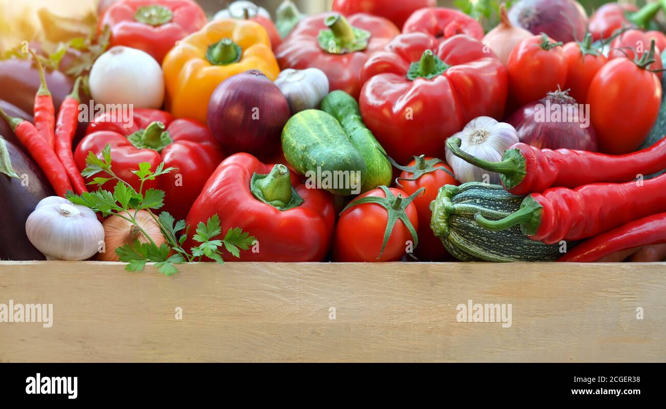 Ernte frisches Gemüse in einer Holzkiste mit Kopierplatz unten. Gesunde und biologische Lebensmittel. Stockfoto