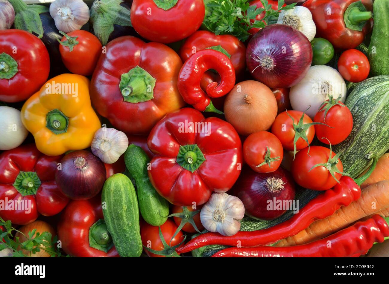 Verschiedene frische Gemüse als Hintergrund, Draufsicht. Das Konzept der gesunden Ernährung. Stockfoto
