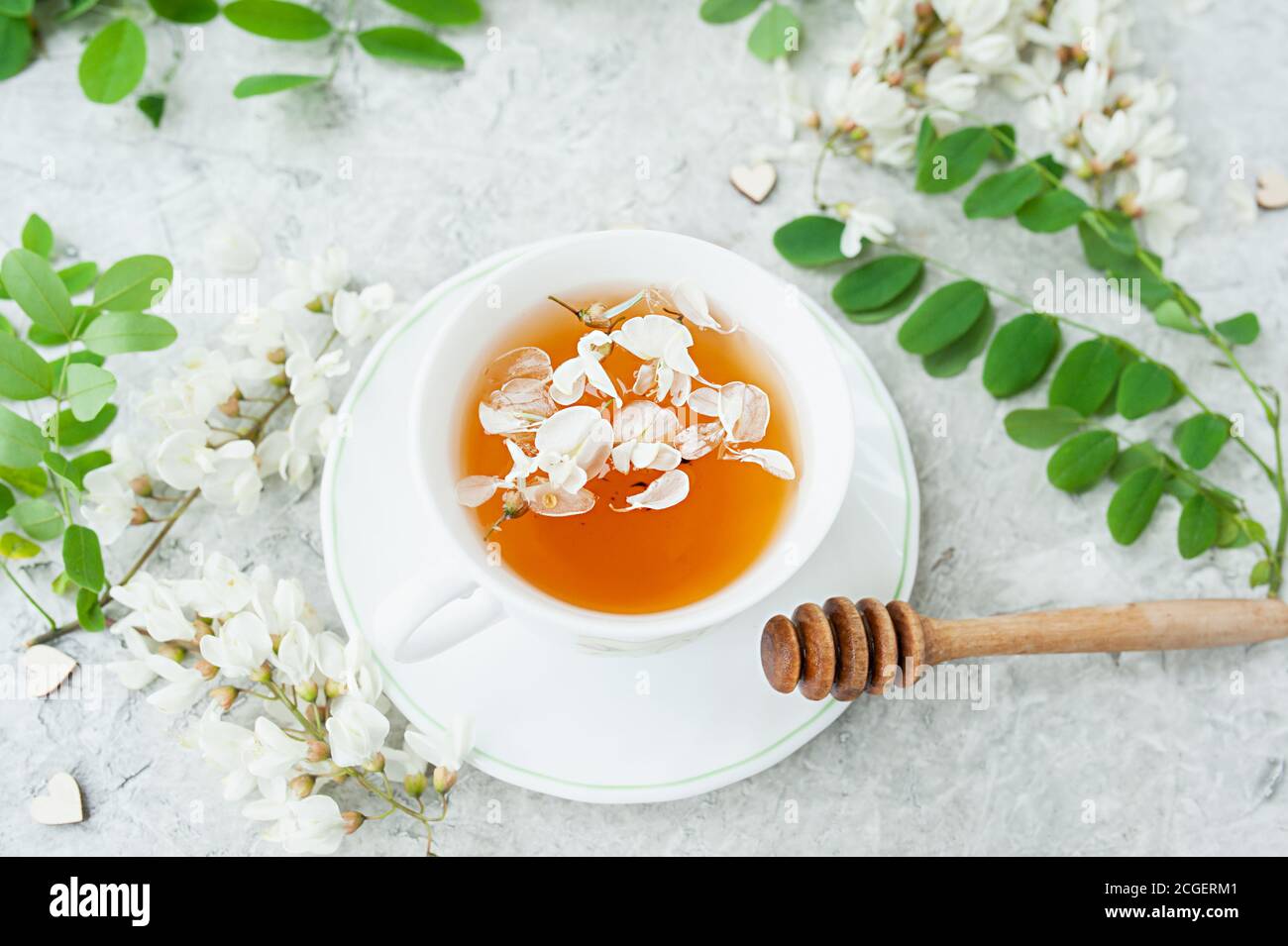 Weiße Akazien Blumen Tee in einem weißen Porzellan Tasse mit Honig Stick auf einem weißen Zement Hintergrund mit üppigen blühenden Ästen eines Akazienbaums, Heimat s Stockfoto