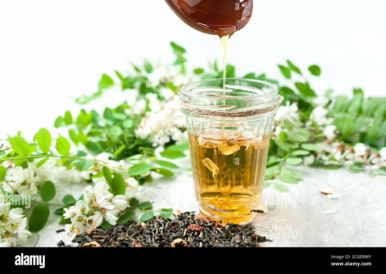 Honig aus einem Holzlöffel wird in einen Glasbecher gegossen Mit Akazienblüten auf weißem Hintergrund mit üppiger Blüte Weißer Akazienbaum Zweig, Home se Stockfoto