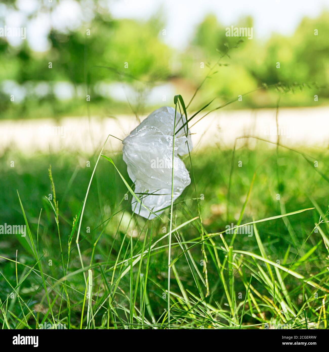 Gebrauchte Plastiktüte auf dem grünen Gras im Park gedumpt. Konzept der Umweltverschmutzung. Stockfoto