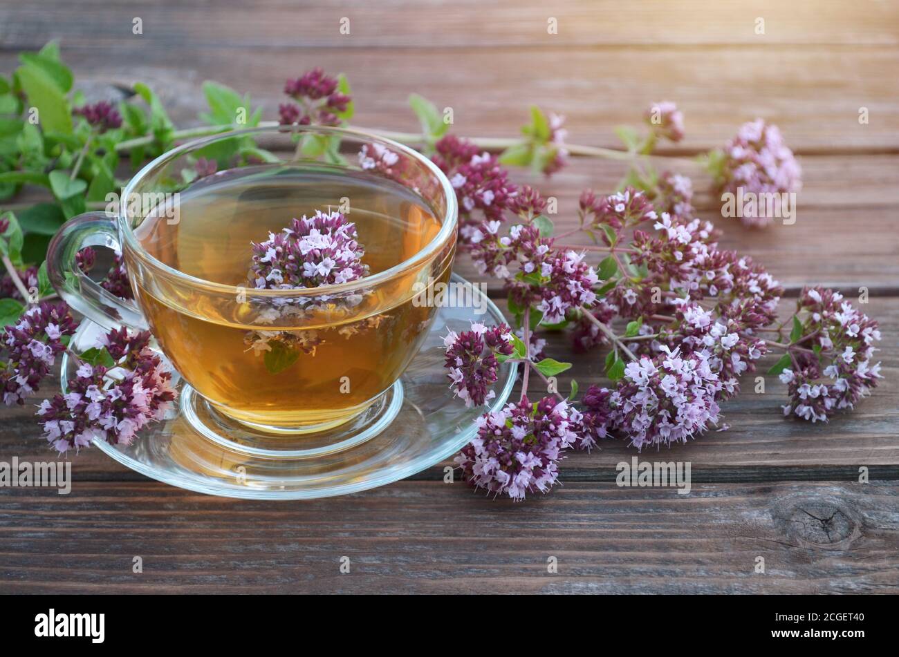 Aromatischer Kräutertee in einer Glasschale und frische Oregano Blumen auf einem alten Holztisch. Gesundes Teekonzept. Stockfoto