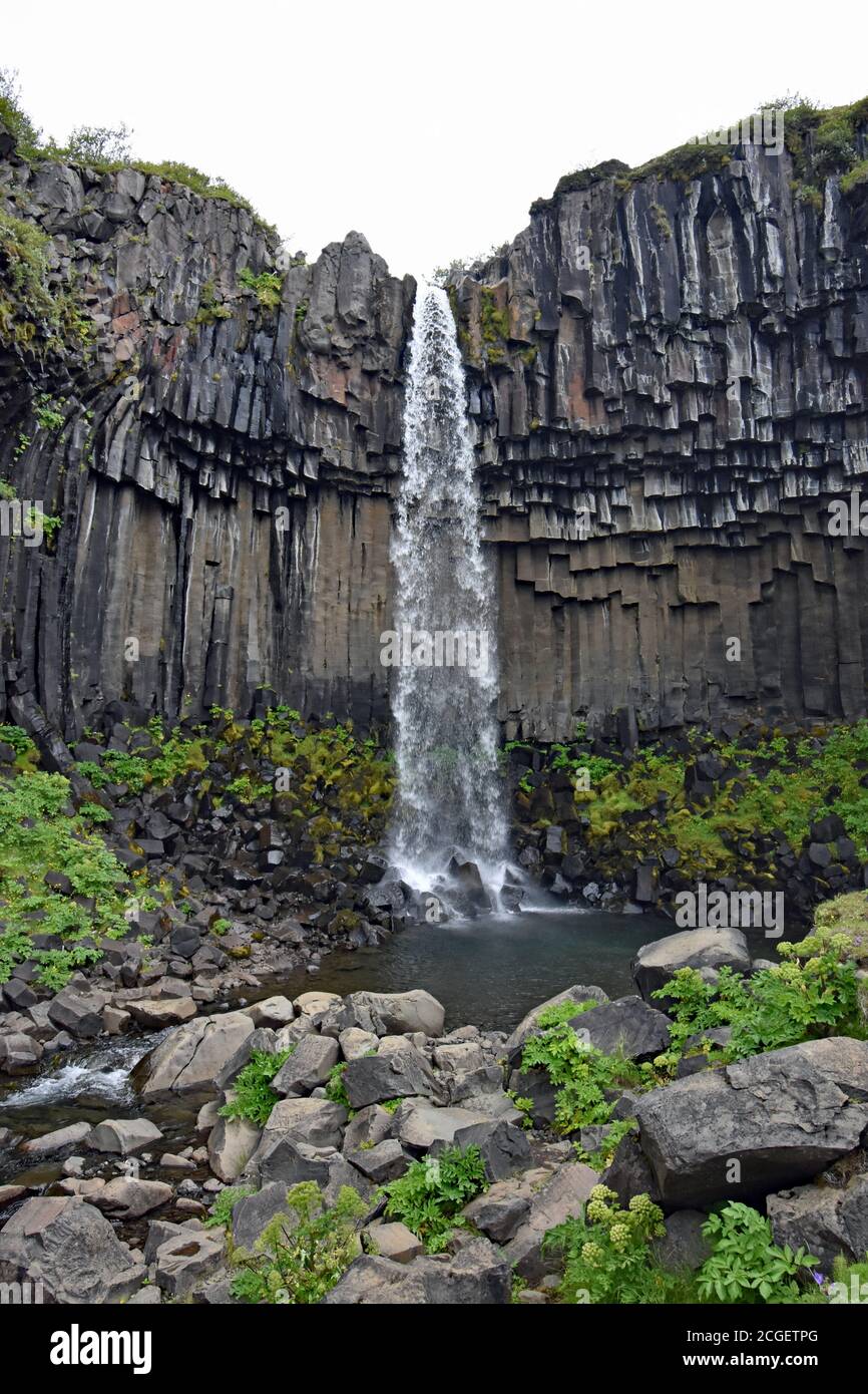 Der Wasserfall Svartifoss fließt über sechseckige Basaltsäulen, die durch Lavaströme in Skaftafell, Vatnajokull Nationalpark, Südisland, verursacht werden Stockfoto
