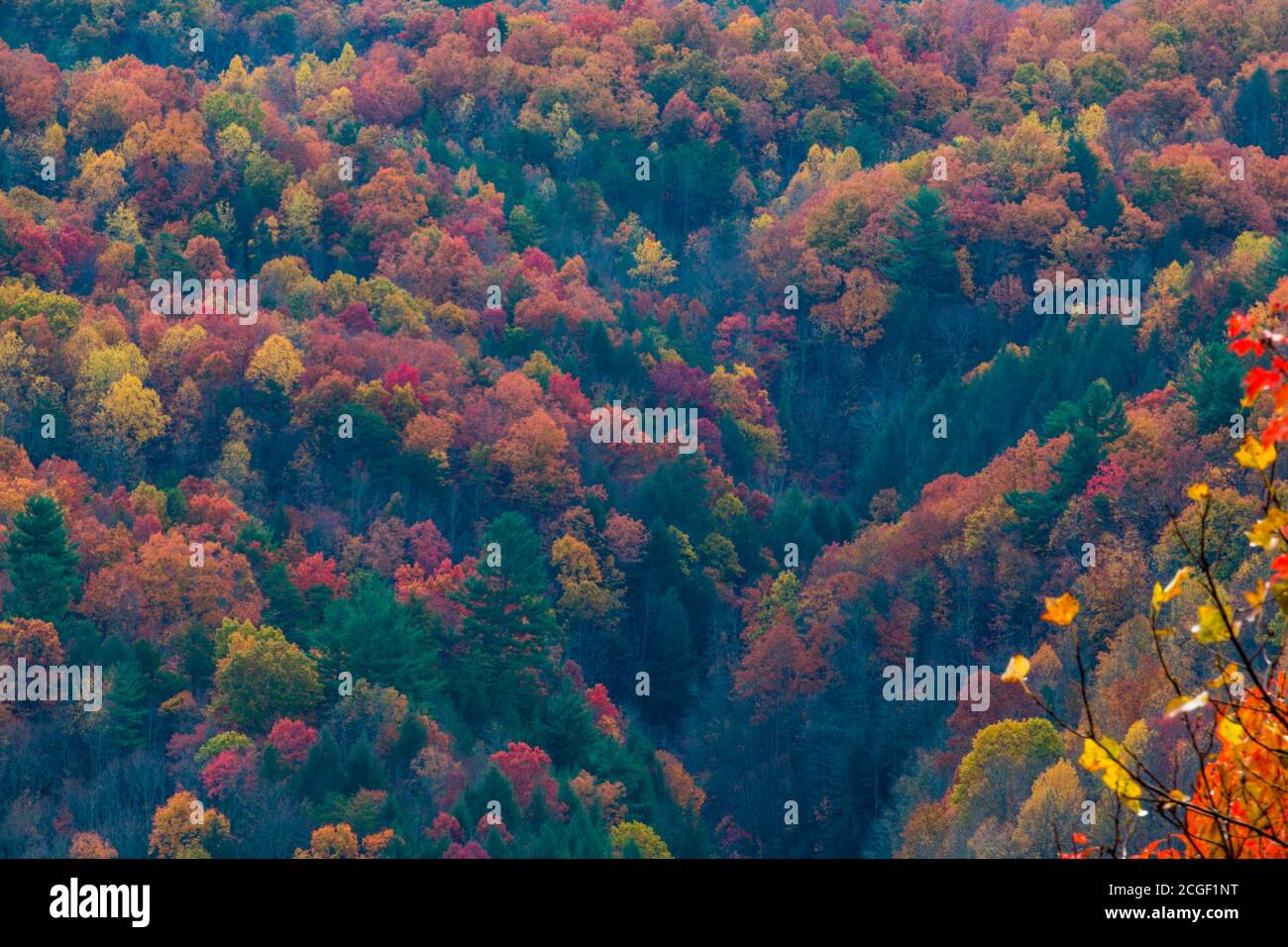 Herbstfarbe in East Tennessee vom Foothills Parkway Stockfoto