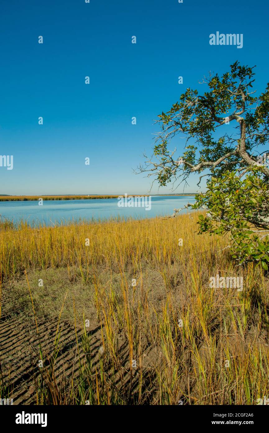 Blick auf einen Salzmarsch am Big Bay Creek, Edisto Beach State Park, auf Edisto Island in South Carolina, USA. Stockfoto