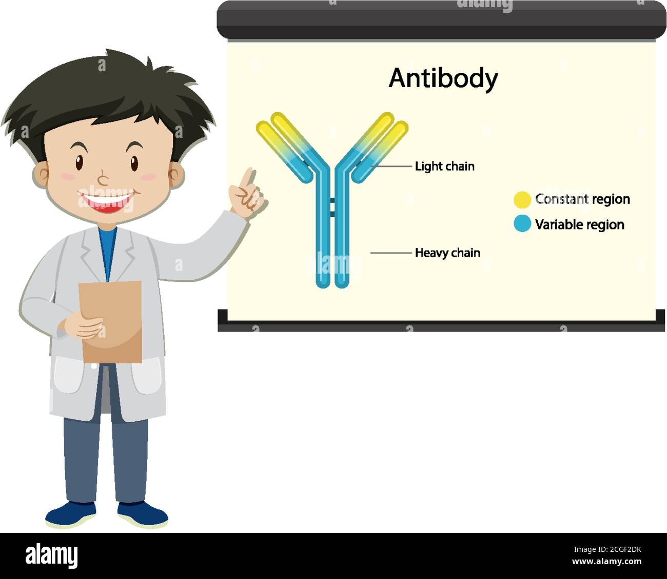 Ein Arzt mit Antikörper auf Projektionsleinwand im Cartoon-Stil Abbildung Stock Vektor