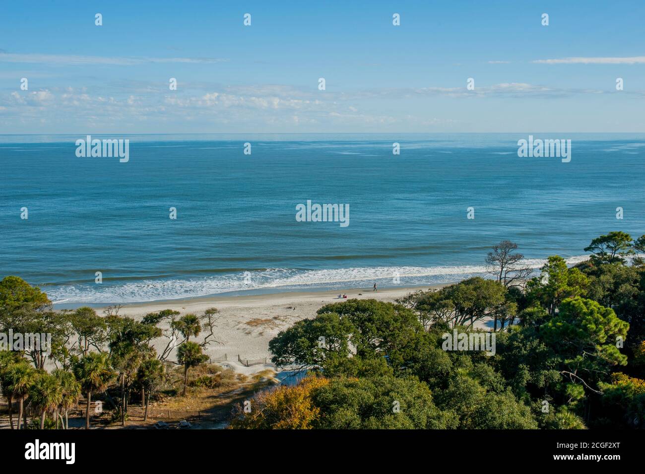 Blick vom Hunting Island Lighthouse, gelegen im Hunting Island State Park auf Hunting Island in der Nähe von Beaufort, South Carolina, USA. Stockfoto