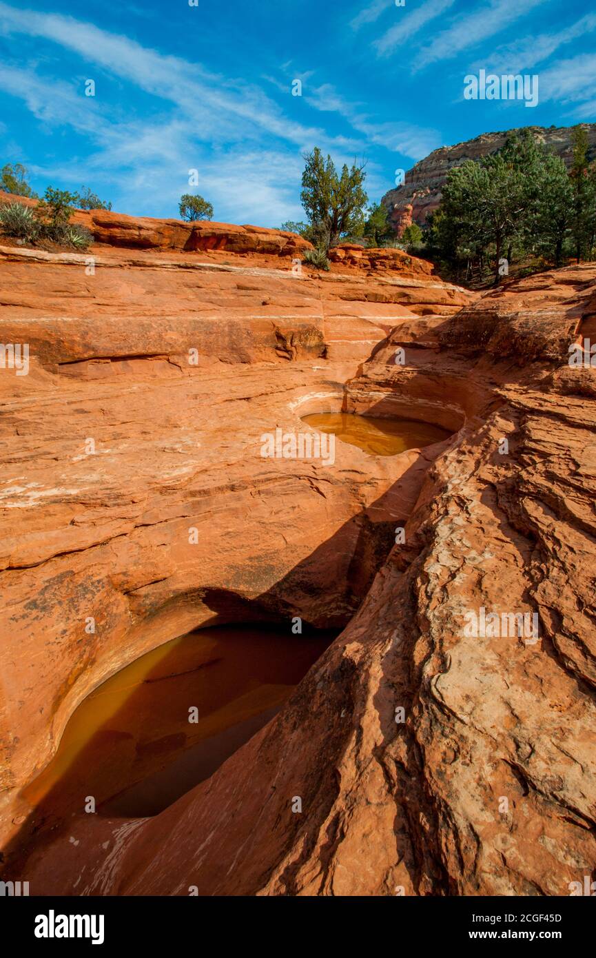 Die Seven Sacred Pools entlang des Soldier Pass Trail in der Nähe von Sedona, Arizona, USA. Stockfoto